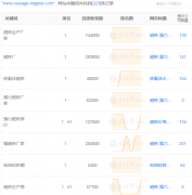 2019年4月麻豆视频APP下载安装磁铁网站优化情况：关键词库稳步上升